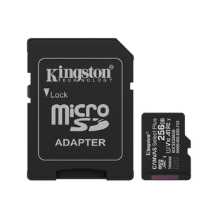 Карта пам'яті Kingston microSD 256GB C10 UHS-I A1 V10 R150MB/s + SD 99-10028161 фото