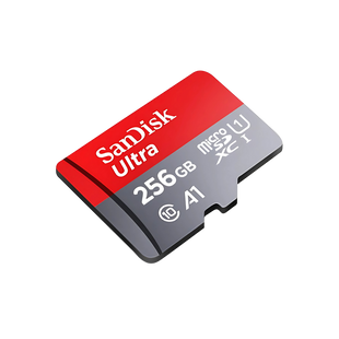 Карта пам&rsquo;яті miсroSDXC 256GB SanDisk Ultra TransFlash Memory Card з SD-адаптером class 10 UHS-I 090-00003 фото